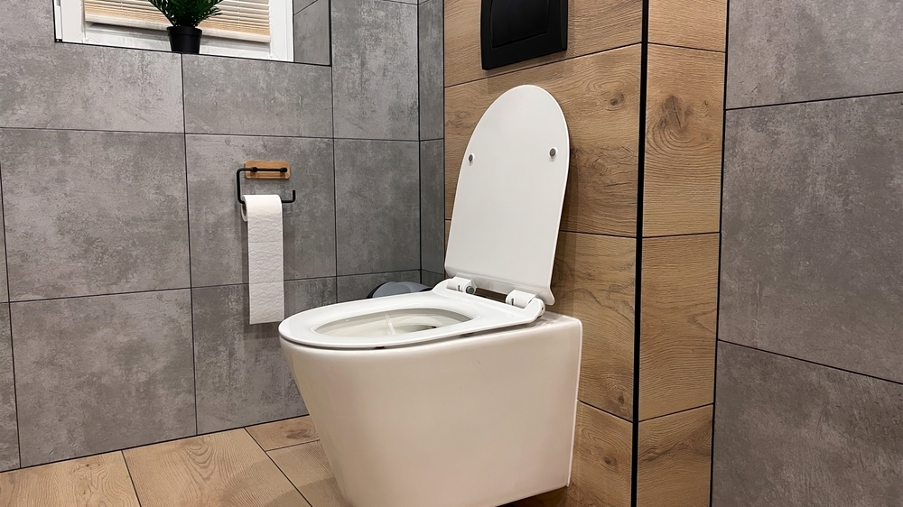 Les toilettes suspendues remportent du succès dans l'Hexagone.