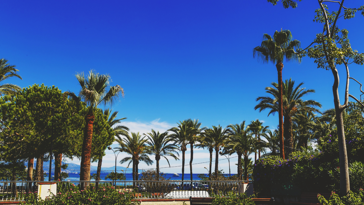 La Côte d'Azur fait partie des secteurs les plus cotés.