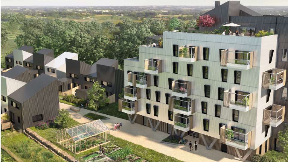 Île Ô Bois, un projet à l'ossature et à la structure primaire tout en bois.