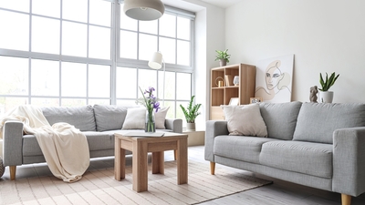 5 conseils pour la qualité de l’air intérieur © Pixel-Shot/Shutterstock