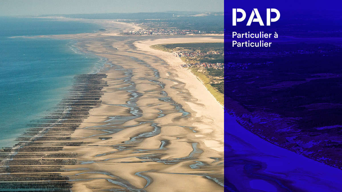 En Baie de Somme, dunes, plages, marais et prés salés se succèdent.