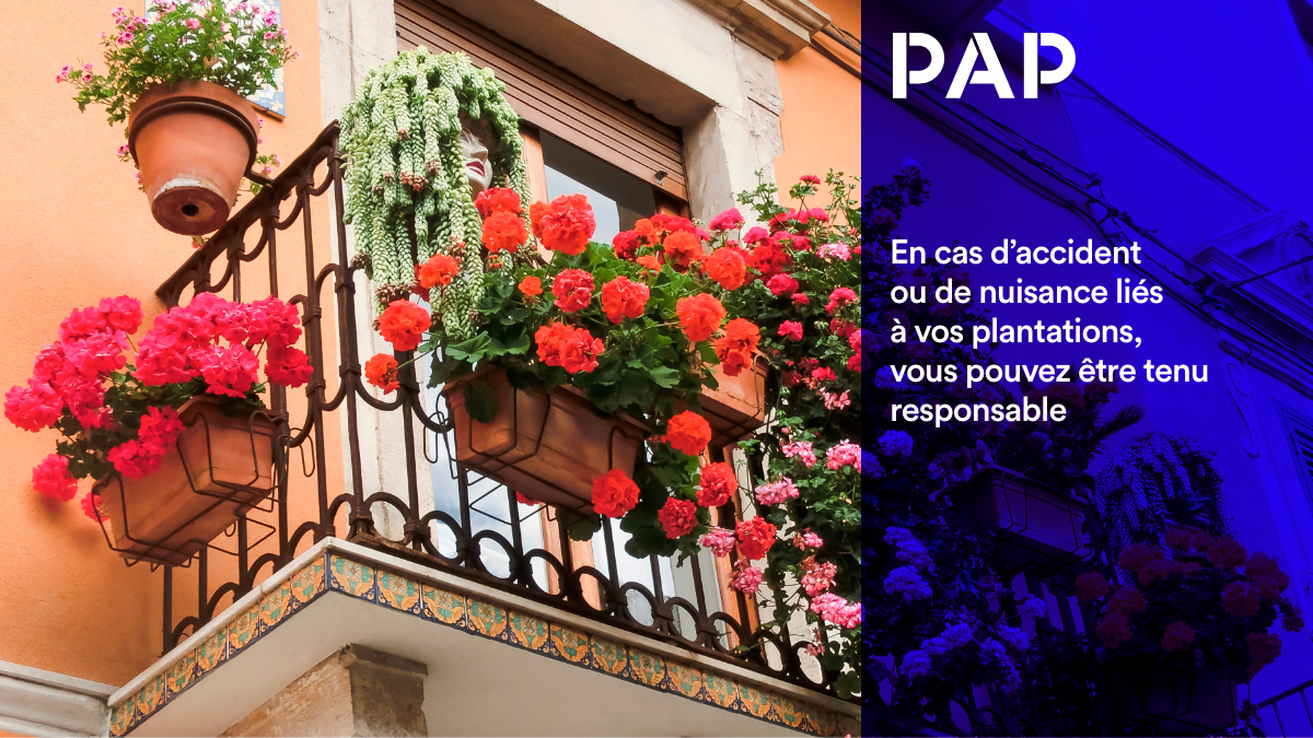 Une haie trop envahissante, une racine qui fissure un mur… Vos plantes peuvent engager votre responsabilité civile !