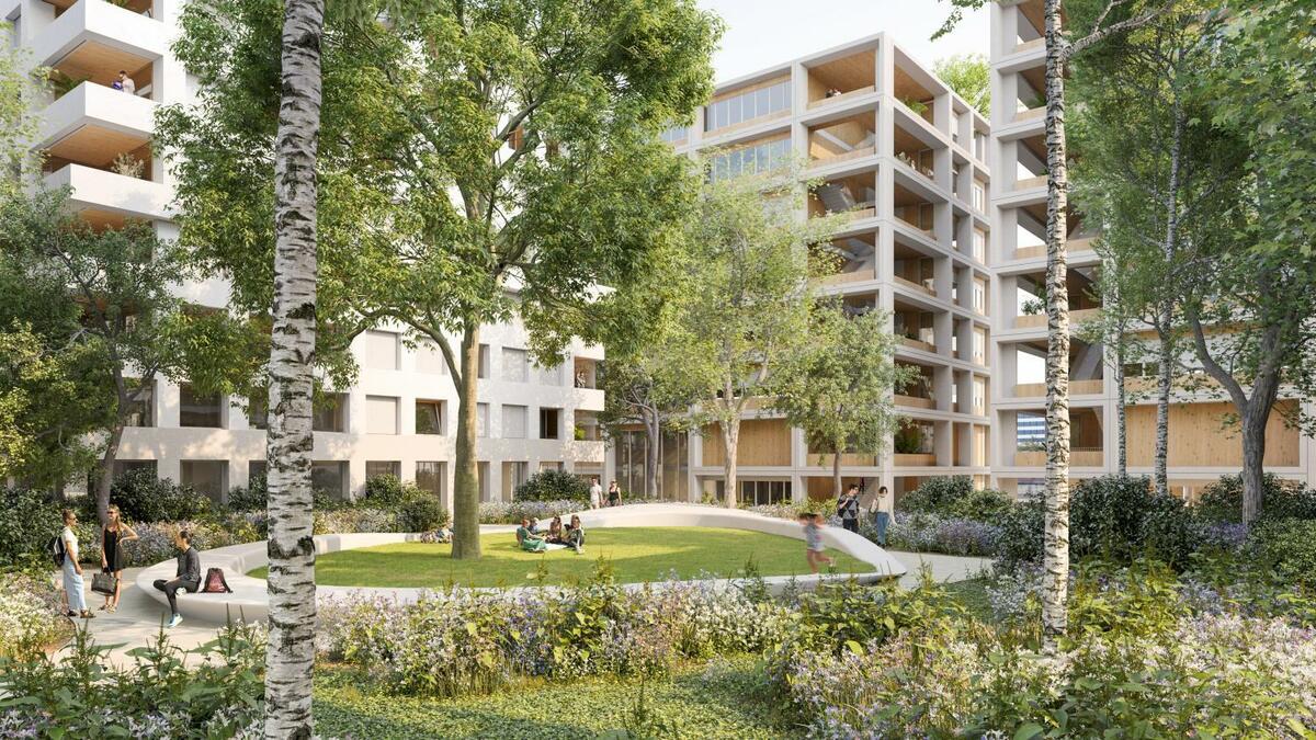 Des cœurs d'ilots verdoyant, massivement plantés.