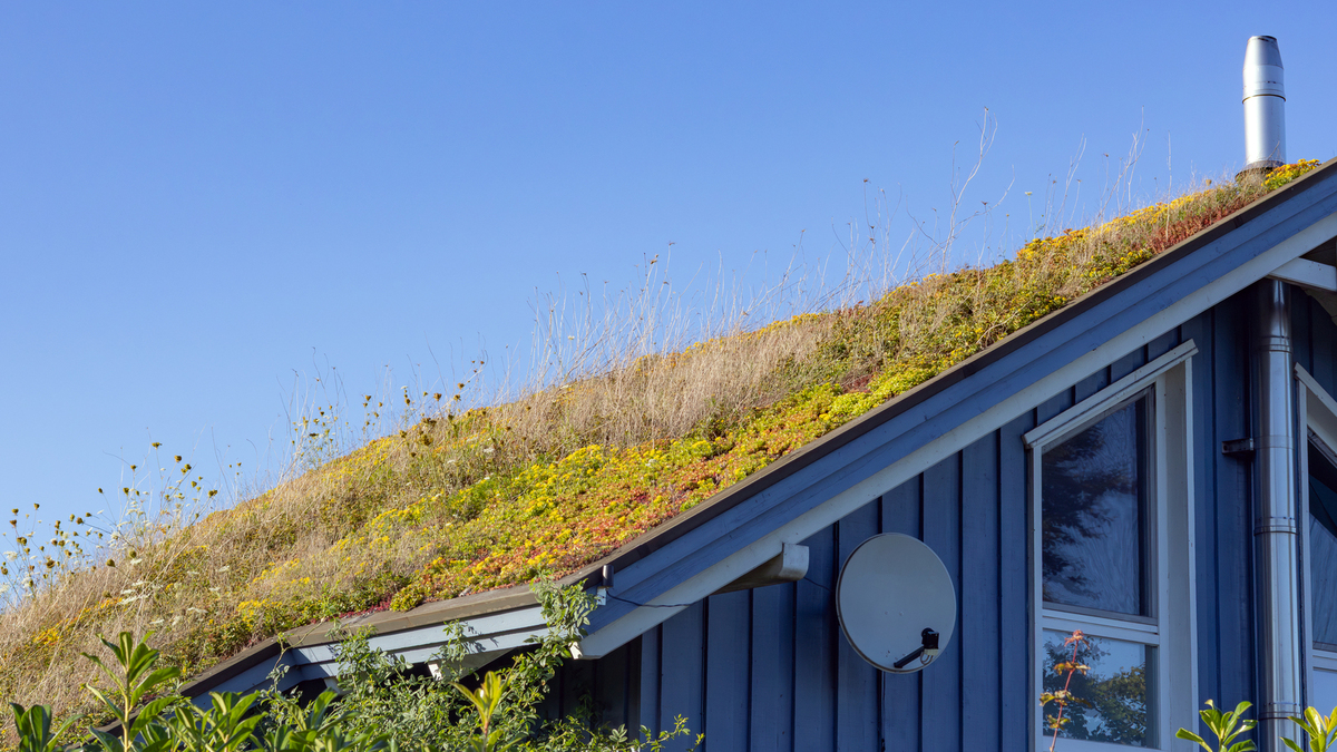 La toiture végétalisée renforce l'isolation thermique de la maison.