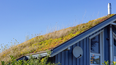 Toiture végétalisée : transformez votre toit en îlot de fraîcheur (et de bien-être) © Canetti-Getty Images