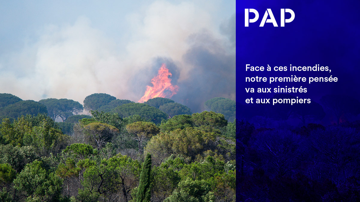Depuis janvier, quelque 46.000 hectares sont partis en fumée, dépassant le record de 2022.