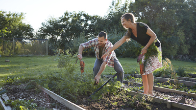 Jardin : quatre conseils pour réussir son potager © Klaus Vedfelt/Getty Images