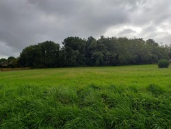 Terrain aménagé Baigneaux (33760)