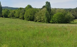 Terrain aménagé Proissans (24200)