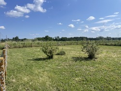 Terrain aménagé Mombrier (33710)