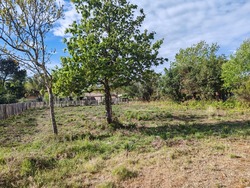 Terrain aménagé Hourtin (33990)