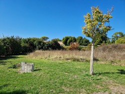 Terrain aménagé Pons (17800)
