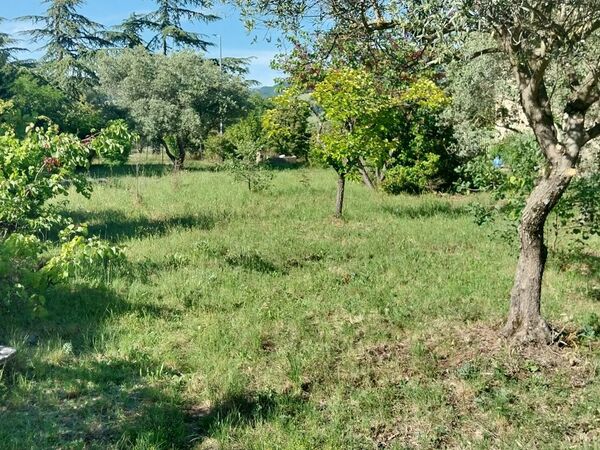 Terrain aménagé Château-Arnoux-Saint-Auban (04)