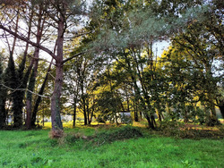 Terrain aménagé Vensac (33590)