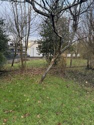 Terrain aménagé Combs-la-Ville (77380)