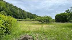 Terrain aménagé Saint-Sylvestre (74540)