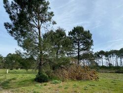 Terrain aménagé La Teste-de-Buch (33)