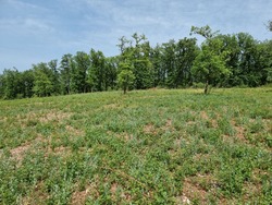 Terrain aménagé Lalbenque (46230)