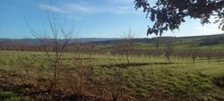 Terrain aménagé Cambounet-sur-le-Sor (81580)