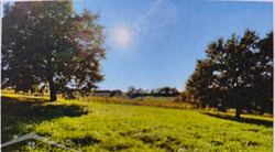 Terrain aménagé Bergerac (24100)