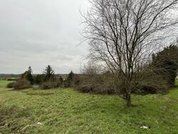 Terrain aménagé Montguyon (17270)
