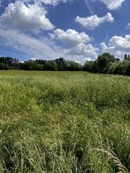 Terrain aménagé Samois-sur-Seine (77920)