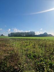 Terrain aménagé Bosc-le-Hard (76850)