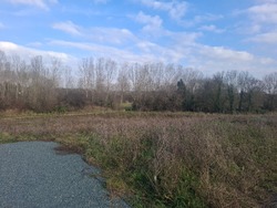 Terrain aménagé Vaux-sur-Mer (17640)