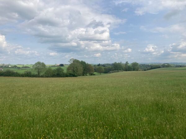 Terrain aménagé Sérénac (81350)