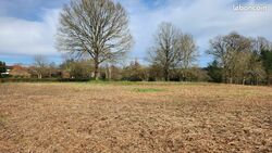 Maison 79 m² à construire Saint-Junien (87200)