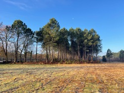 Terrain aménagé Le Porge (33680)