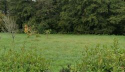 Terrain aménagé Bazas (33430)