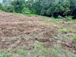 Maison 100 m² à construire Le Lamentin (97232)