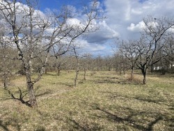 Terrain aménagé Lhospitalet (46170)
