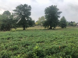 Terrain aménagé Saint-Martin-du-Bois (33910)