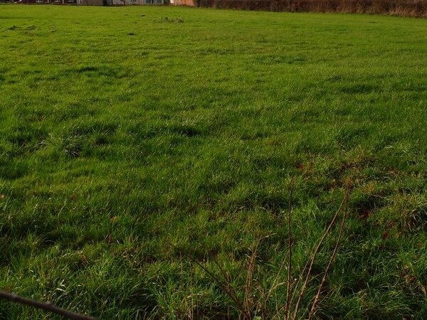Terrain aménagé Callengeville (76270)