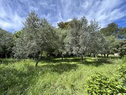Maison 95 m² à construire Draguignan (83300)