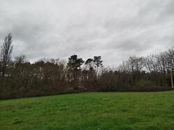 Terrain aménagé Périgueux (24000)