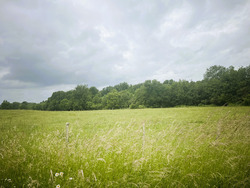 Terrain aménagé Marcenais (33620)