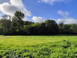 Terrain aménagé Prignac-en-Médoc (33340)