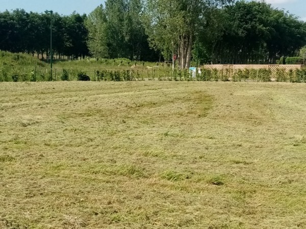 Terrain aménagé Criquetot-sur-Ouville (76760)