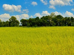 Terrain aménagé Bénesse-Maremne (40230)