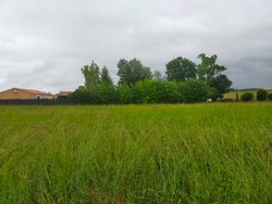 Terrain aménagé Jarnac (16200)
