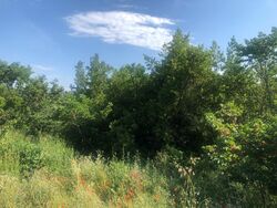 Terrain aménagé Draguignan (83300)