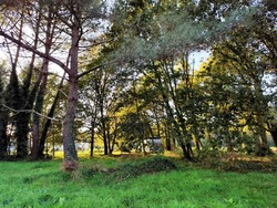 Terrain aménagé Lesparre-Médoc (33340)