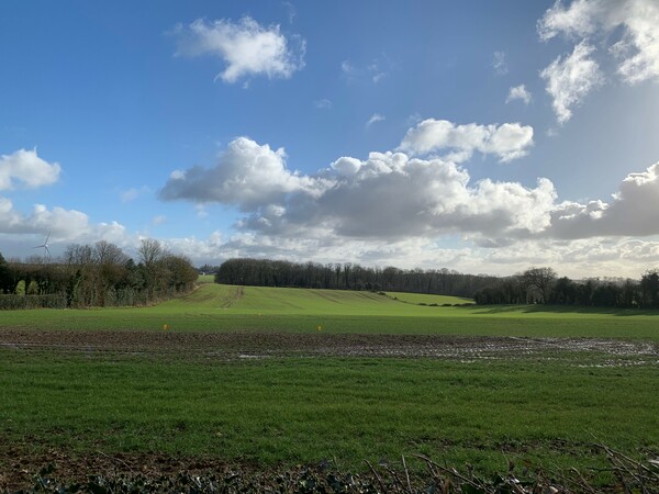 Terrain aménagé Bosc-Mesnil (76680)