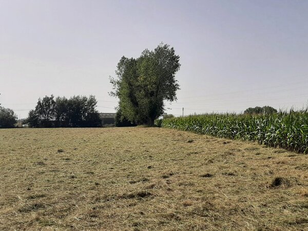 Terrain aménagé Saint-Jean-du-Cardonnay (76150)