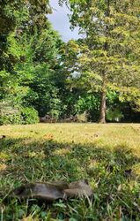 Terrain aménagé Vigneux-sur-Seine (91270)