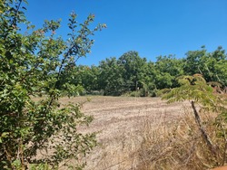 Terrain aménagé Tauriac (46130)