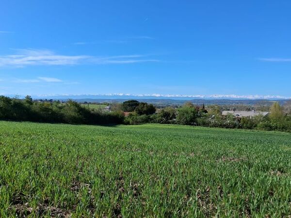 Terrain aménagé Auterive (31190)
